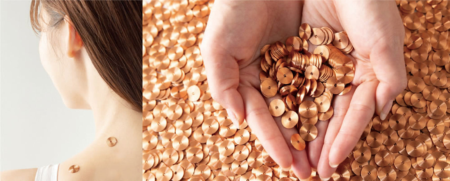 ジーゼロコイル N°12